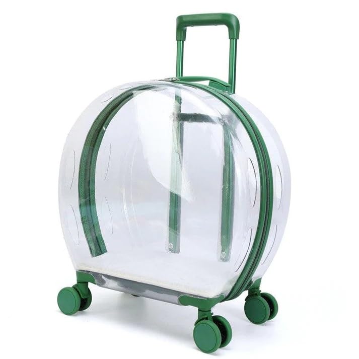 Homecloud Transparent Pet Carrier Backpack - for Travel, Hiking, Designed with Breathable Space, Ventilated, Airline-Approved, Sturdy Pad for Puppies & Cats (32L x 23W x 42H Cm) (D.Green) (B0CGXJPDYZ) Amazon Price History, Amazon Price Tracker