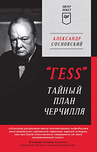"ГESS" Тайный план Черчилля (Russian Edition)