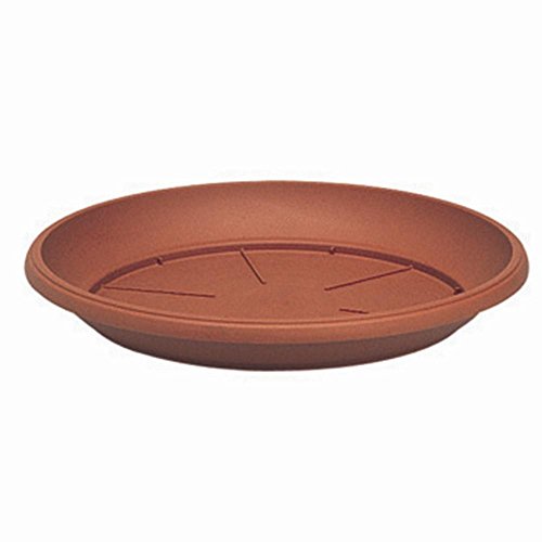 Manna 105329 onderzetters Similicotto 20 cm terracotta van polypropyleen