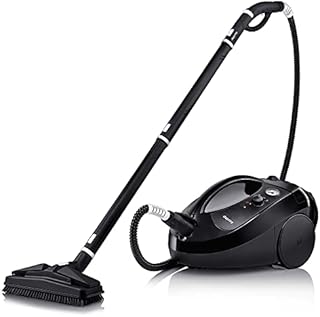 Dupray One Plus Steam Cleaner- Most Powerful Home and Professional, Chemical Free, Disinfecting, Portable Steamer for Cars, Floors, Grout, Tile, Windows, Furniture and made in Europe.