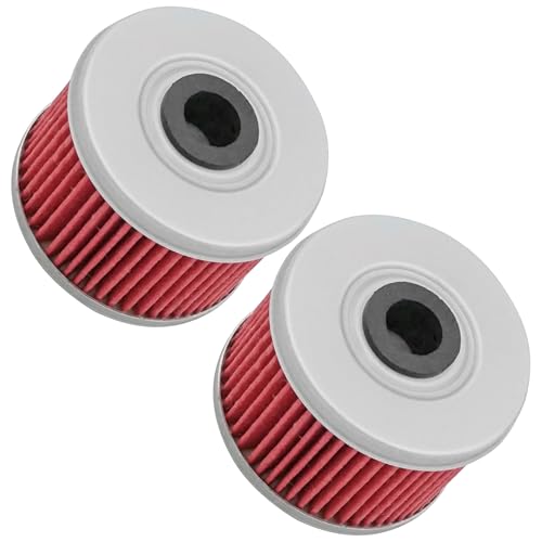 Caltric 2 Pack Oil Filter Compatible with Honda 300 Trx300 Fourtrax Trx-300 1988-2001
