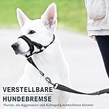 Voarge Ausbildungsgeschirr Hundehalfter Haustier Maulkorb, Einfache Anpassung, Leicht, mit gepolstertem Nasenriemen, Hundemundschutz Training Halter verhindert Bellen Beißen und Kauen, M