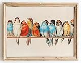 28,9 x 35,6 cm, ungerahmter Bilddruck