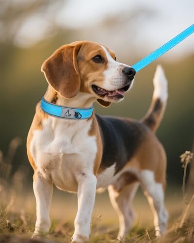 Image of Joytale Dog Collar for Medium Dogs, Neoprene Padded and Adjustable, Reflective Wide Heavy Duty Pet Collars with Durable Metal Belt Buckle for Walking, Sky Blue, M