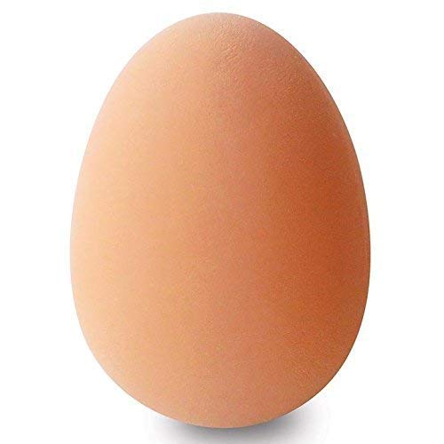 Dog Trust Egg Shaped Rubber Bouncing Balls Chewing Playing Toy for Pet Puppy Dogs and Cats. (Pack of 1 Unit) (B09GT6GC7S) Amazon Price History, Amazon Price Tracker