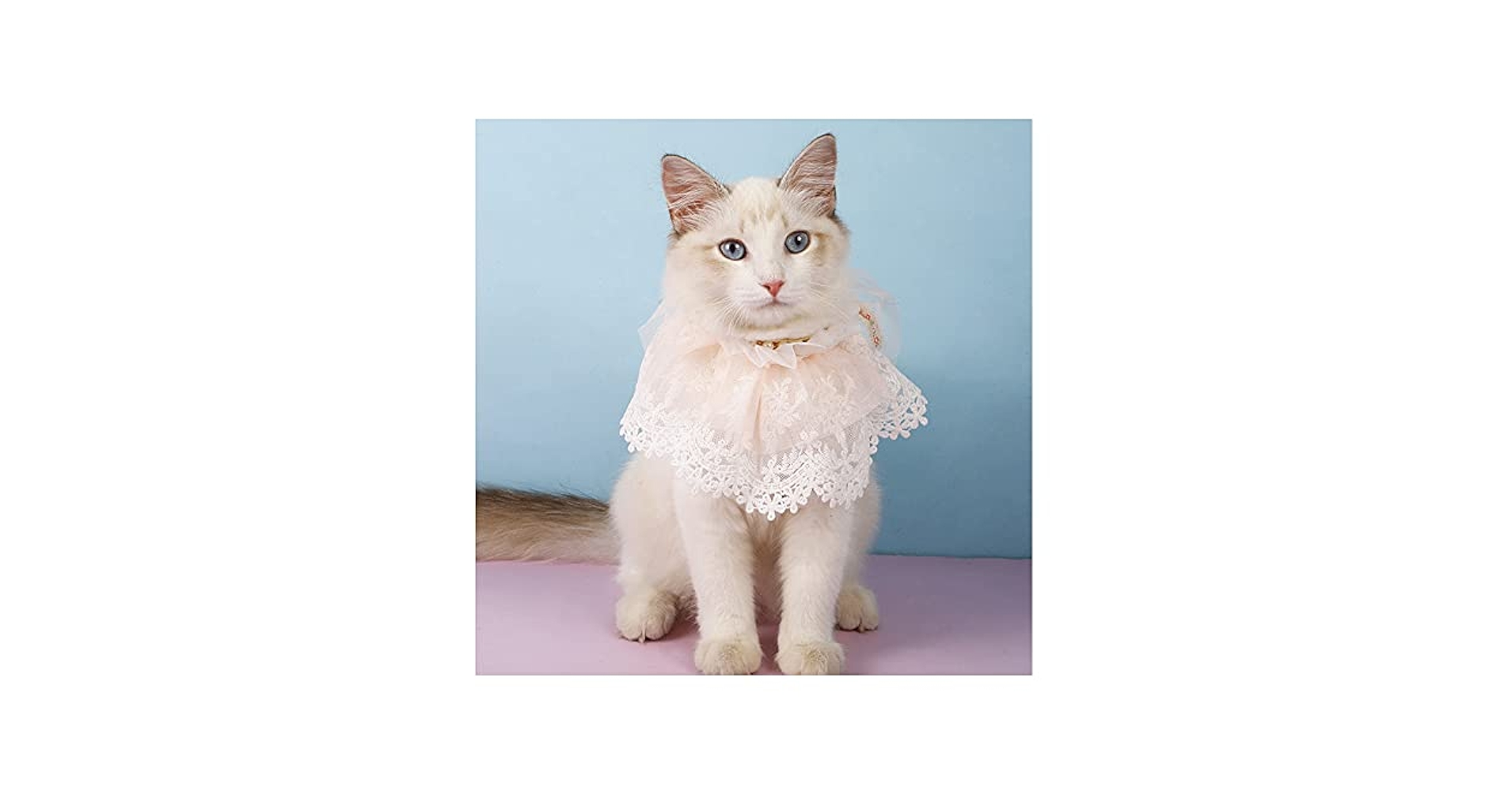 おひさま様オーダー　猫のバンダナ　犬のバンダナ　aibo用も可能 犬のバンダナ 犬バンダナ 猫バンダナ aibo用バンダナ イニシャル