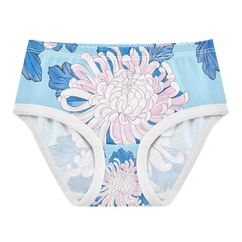 White Chrysanthemums Toddler Girls's Underwear 2T 202c1324