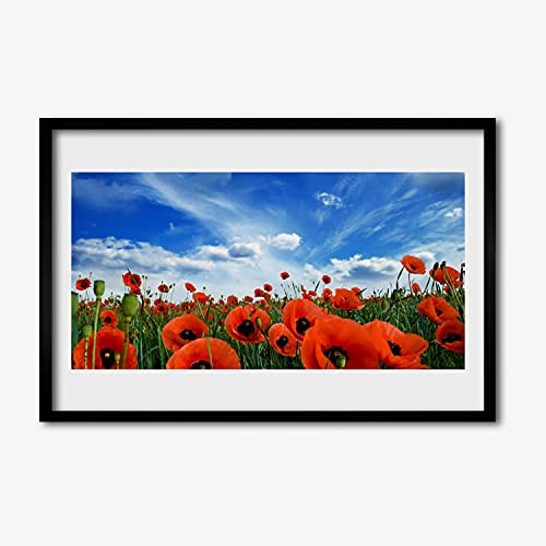 Affiche encadrée fleurs maki meadow cadre mdf photo murale 60x40 cm