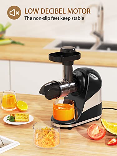 Wamife Slow Masticating Juicer Machine, Cold Press Juicer Extractor, 2 Modes & Reverse Function For High Nutrient Fruit & Vegetable Juice, Quiet Motor, With Cup & Brush(Black) #TOP5