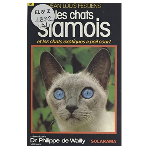 Les chats siamois et les chats exotiques à poil court