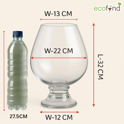 Image of ecofynd Glass Vase for Flowers Plants, Modern Decorative Vase for Home Decor Center Table, Bedroom, Living Room, Office Decoration, Wedding or Gifts (GVASE004)