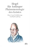 Hegel für Anfänger. Phänomenologie des Geistes
