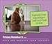 Cats Are Cheaper Than Therapy 2026 Day-to-Day Calendar: More Than 365 Cats