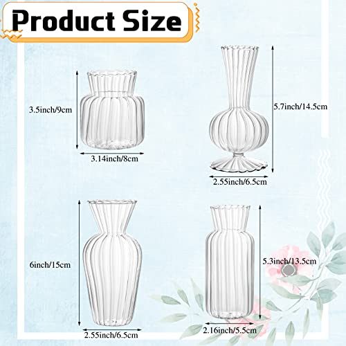 Petits vases à rayures géométriques pour sublimer une fleur unique - 3