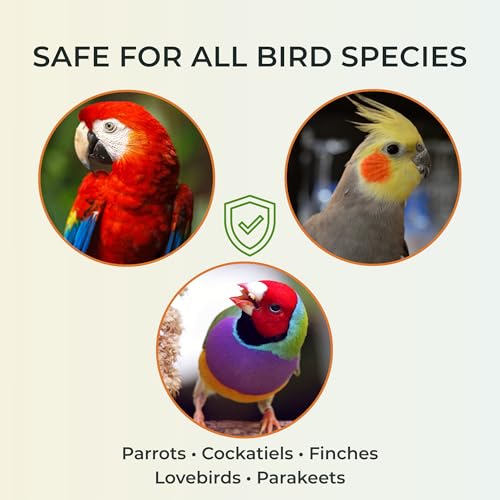 Bird Bath Spray for Parrots & All Birds – Helps Soothe Dry, Itchy Skin & Support Healthy Feathers – Herbal Eucalyptus & Thyme Formula, No Essential Oils – 8 Fl Oz Bird Mist - Image 4
