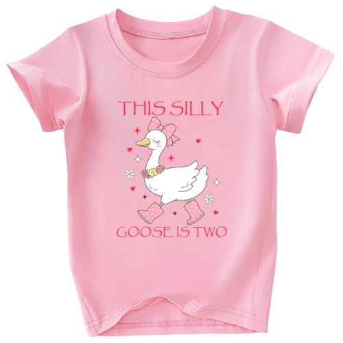 Image of Toddler Girls 2nd Birthday Shirt Outfit for Girls Cute Two Years Old Birthday Gift