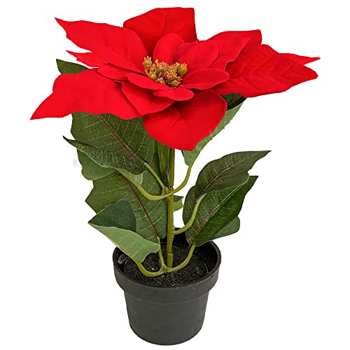 Murago - Künstlicher Weihnachtsstern ca.20cm - Rot - mit im Topf Kunstblumen Kun