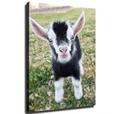 Black White Goat Baby Cute Canvas Wall Decor Art Painting Prints on Modern Posters Prints Artwork for Living Room, Bathroom,Bedroom,Home (8x10inch Unframed)