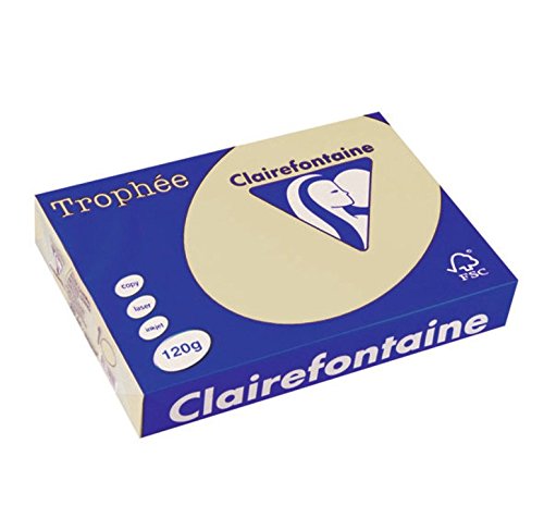 Clairefontaine 1203C - Ries mit 250 Blatt Druckerpapier / Kopierpapier Trophée, DIN A4 (21x29,7 cm), 120g, Gämse Pastellfarbe, 1 Ries