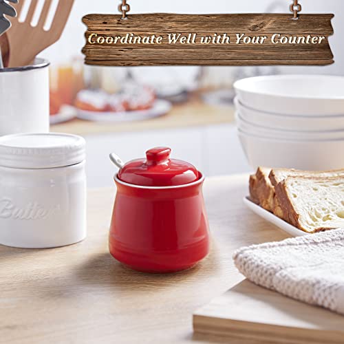 DAYYET Ceramic Sugar Bowl with Lid and Spoon