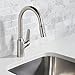 hansgrohe Focus N Stainless Steel Bar Kitchen Faucet, Kitchen Faucets with Pull Down Sprayer, Faucet for Kitchen Sink, Stainless Steel Optic 71801801
