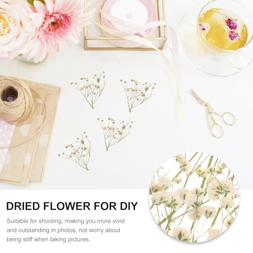 Ramo natural de flores secas para decoración miniatura 3