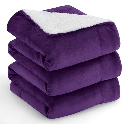 Aisbo Dicke Kuscheldecke Flauschig Violett - Extra Warme Decken für den Winter als Sofadecke Couchdecke 220x240 cm, XXL Große Wohndecke aus hochwertige Sherpa Fleece, Soft Weich Blanket