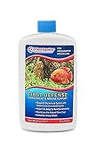 DrTim's Aquatics First Defense Stress Relief & Immune Support Freshwater 16 ounce