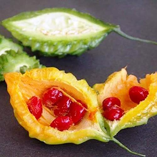 Qauzuy Garden 10 Bitter Melon Seeds, Bitter Apple, Bitter Gourd, Bitter Squash Seeds - Premium Non-Gmo Vegetable Seeds - High Yield & Fast-Growing Perennial Vegetable Seeds #TOP2