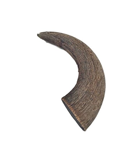 Top Dog Chews 2 Pack Natural Water Buffalo Horns Edible Treats #TOP4