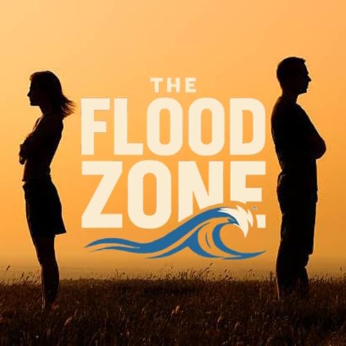 The Flood Zone cover art