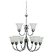 Sea Gull 31852BLE-965 Gladstone 9-Light Multi Tier Chandelier, Antique Brushed Nickel