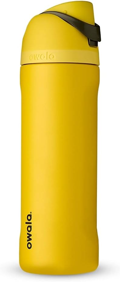 Harry Potter FreeSip Insulated Stainless Steel Water Bottle with Straw, BPA-Free Sports Water Bottle, Great for Travel, 24 oz, Hufflepuff