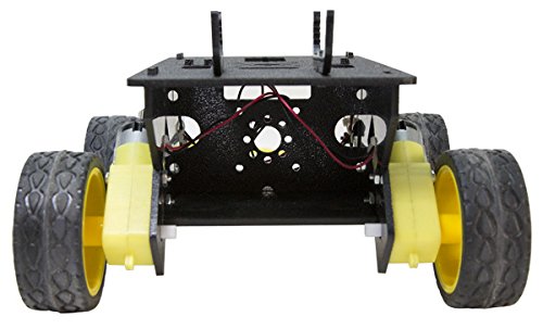 Whippersnapper Runt Rover ™ #TOP6