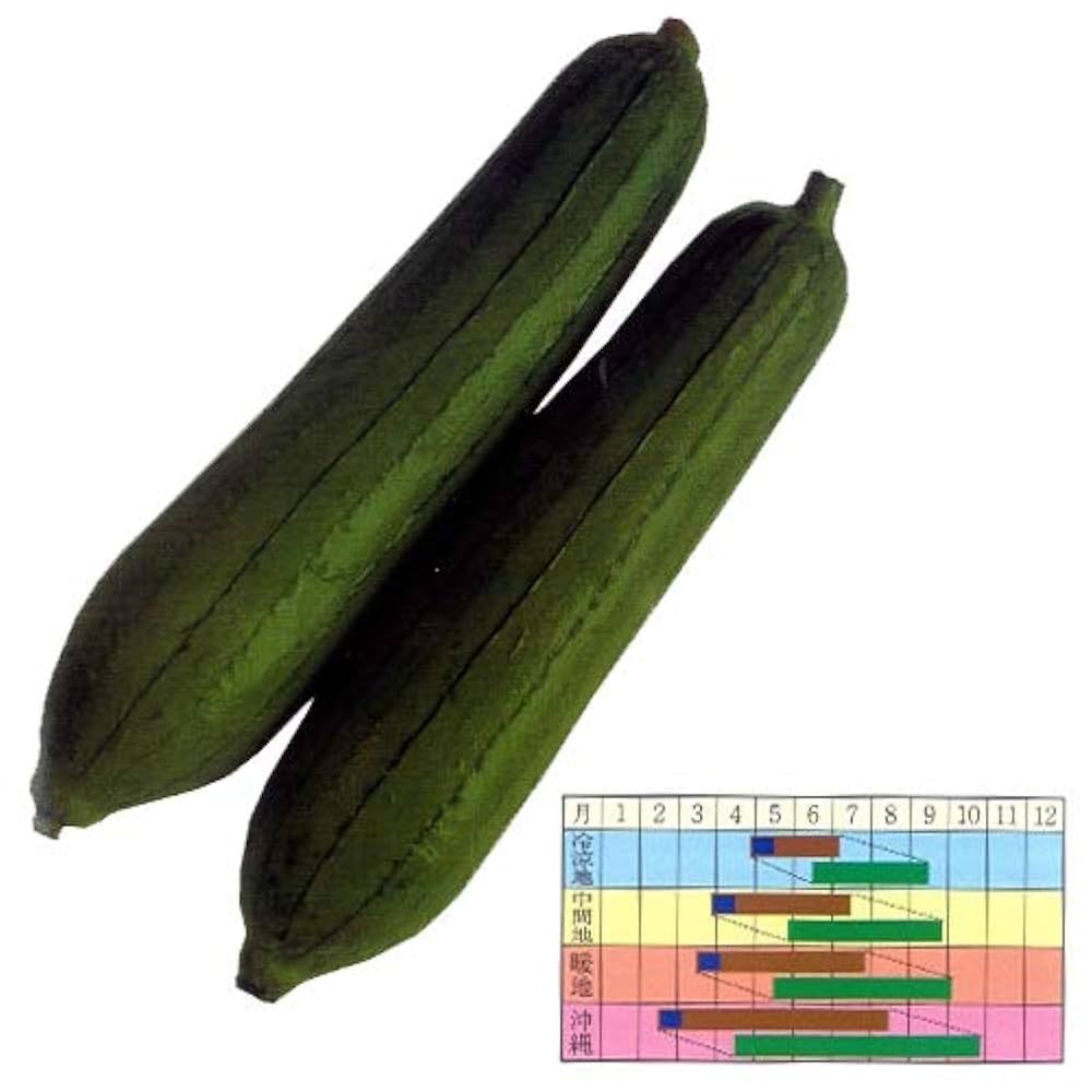 ナーベーラー　取り置き Amazon | ヘチマ 沖縄短形ヘチマ ナーベラー 野菜苗 6ポット