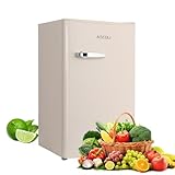 ASCOLI Retro Mini Fridge 85L, Compact Refrigerator, Under Counter Fridge, Direct Cooling, Super Quiet, Adjustable Racks, Defrost, Mechanical Control, Led Light