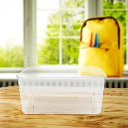 Micro-terrarium paysager transparent pour poisson betta et crevette d'aquarium - 8