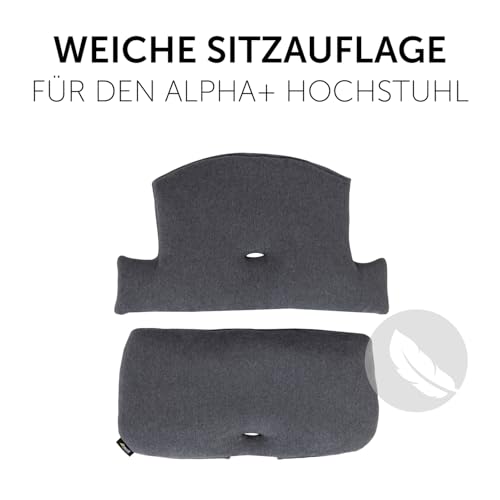 hauck Highchair Pad Select, Charcoal - Hochstuhl Sitzkissen Kompatibel mit Alpha+, Beta+, Arketa Holzhochstuhl, 6-36 Monate, Anti-Rutsch, Doppelte Polsterung, Einfache Befestigung