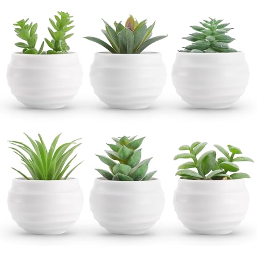 TIED RIBBONS Set of 6 Artificial Small Succulents Plants with Pot...