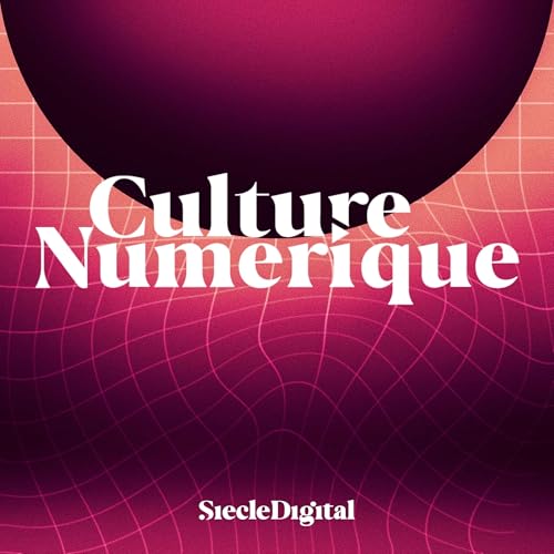 Code du travail num&eacute;rique : quel bilan 3 ans apr&egrave;s son lancement ? Podcast Por  arte de portada