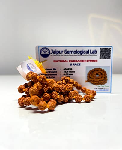Jaipur Certified 5 Mukhi Rudraksha Mala for Men/Women - 108+1 Beads (5mm, 34 Inches) - 100% Natural Brown Beads - Gift for Spirituality & Meditation - Pack of 12