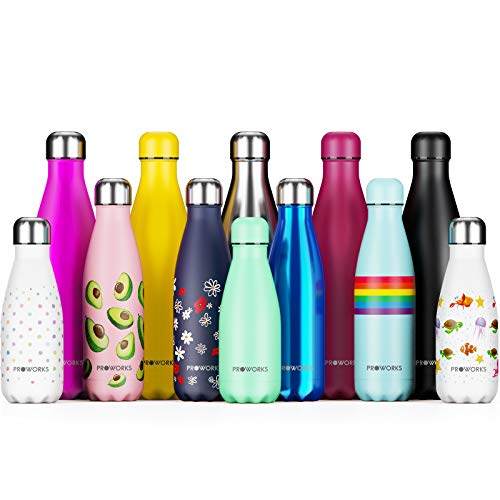 Proworks Edelstahl Trinkflasche | 24 Std. Kalt und 12 Std. Heiß - Premium Vakuum Wasserflasche - Isolierflasche für Sport, Laufen, Fahrrad, Wandern, Camping - 500ml - Neominze (Silber Deckel)