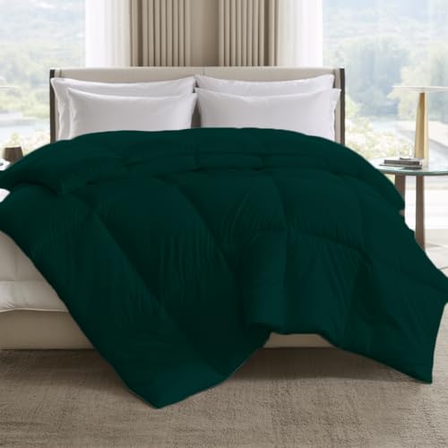 Image of Earthlycozy 300GSM Premium Comforter - Hypoallergenic, Breathable, Reversible, Lightweight, All-Season, AC Friendly and Machine Washable (Teal, Single)
