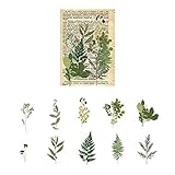 🌿 Aufkleber eignen sich zum Dekorieren von Fotoalbum / Kalender / Tagebuch / Sammelalbum.