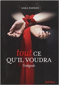 Télécharger TOUT CE QU'IL VOUDRA - COMPIL de Sara Fawkes ( 30 janvier 2013 ) PDF Ebook En Ligne