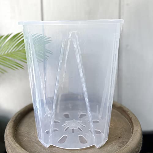 Karenplantsplants™ 7" Clear Tall Plastic Nursery Pot With Slotted Air Vents (Clear - 5 Pack) #TOP8