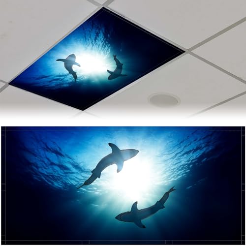 Patelai 4 x 2 Feet Fluorescent Light Cover for Fabric