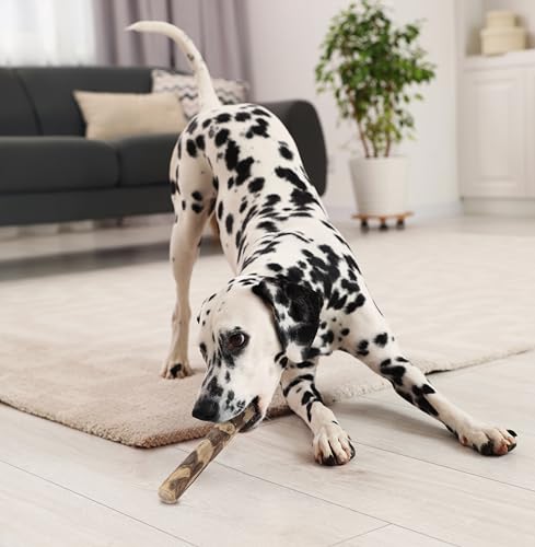 Fuzzl Kaffeeholz Kausticks 2 Stück für Kleine Hunde und Welpen