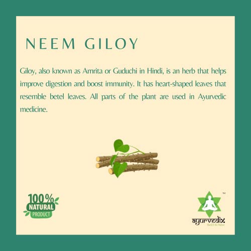 Image of Ayurvedix Neem Giloy Ark 200 ml | Neem & Giloy (Guduchi /Gulvel) Hydrosol | Supports Immunity, Respiratory & Daily Wellness | Herbal Detox & Antioxidant Support | Ayurvedic Liquid | FSSAI Certified