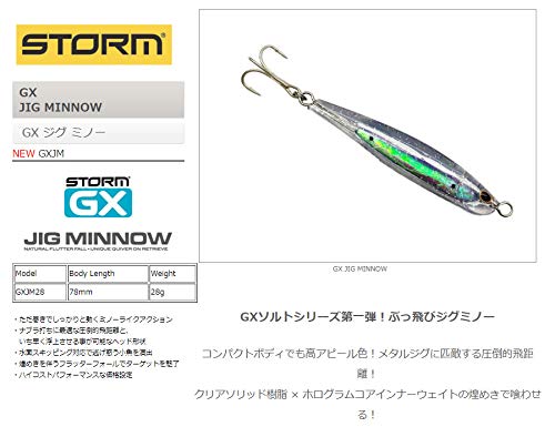 Amazon.co.jp: STORM(ストーム) ルアー ジーエックスジグミノー GXJM28